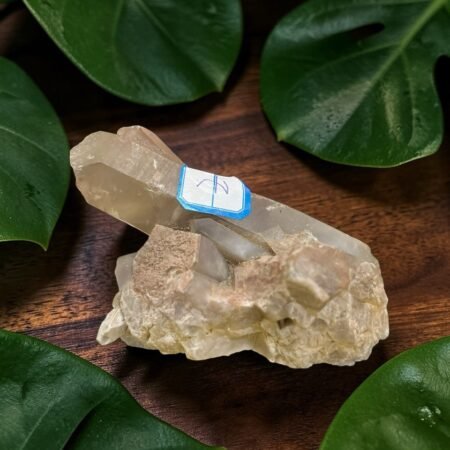 smoky quartz crystal cluster raw mineral specimen 26