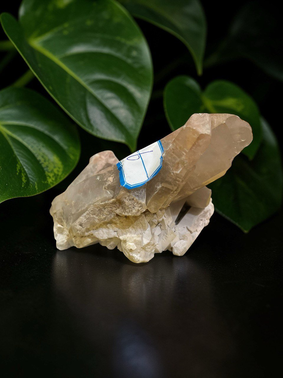 smoky quartz crystal cluster raw mineral specimen 26